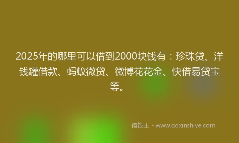 2025年的哪里可以借到2000块钱有：珍珠贷、洋钱罐借款、蚂蚁微贷、微博花花金、快借易贷宝等。