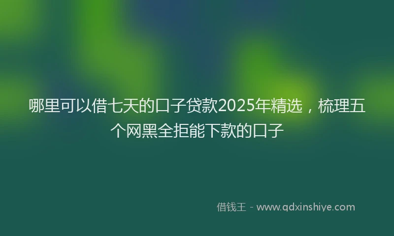 哪里可以借七天的口子贷款2025年精选，梳理五个网黑全拒能下款的口子