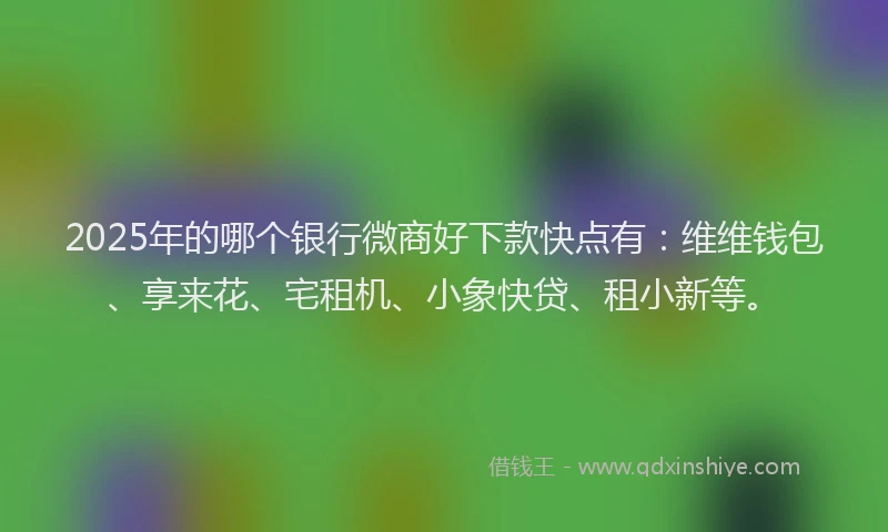 2025年的哪个银行微商好下款快点有：维维钱包、享来花、宅租机、小象快贷、租小新等。