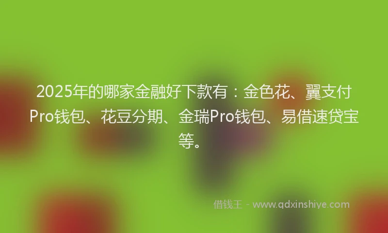 2025年的哪家金融好下款有：金色花、翼支付Pro钱包、花豆分期、金瑞Pro钱包、易借速贷宝等。
