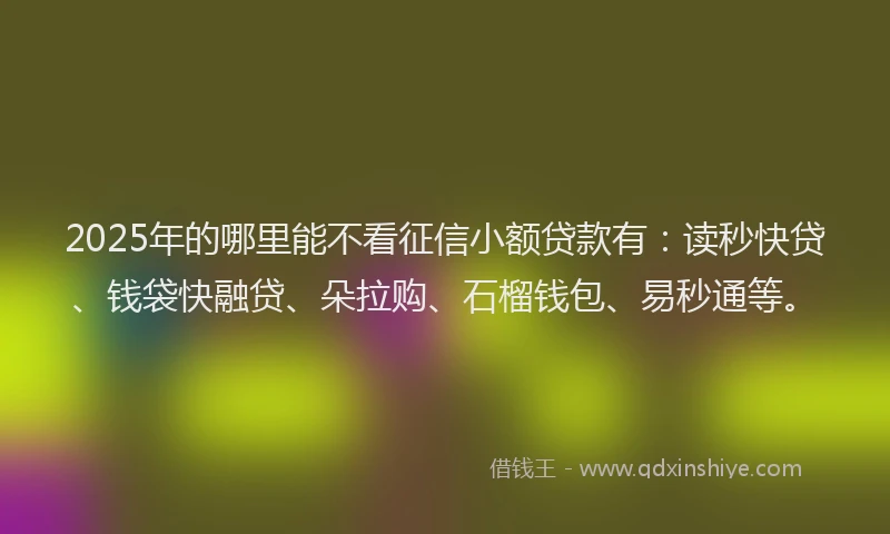 2025年的哪里能不看征信小额贷款有：读秒快贷、钱袋快融贷、朵拉购、石榴钱包、易秒通等。