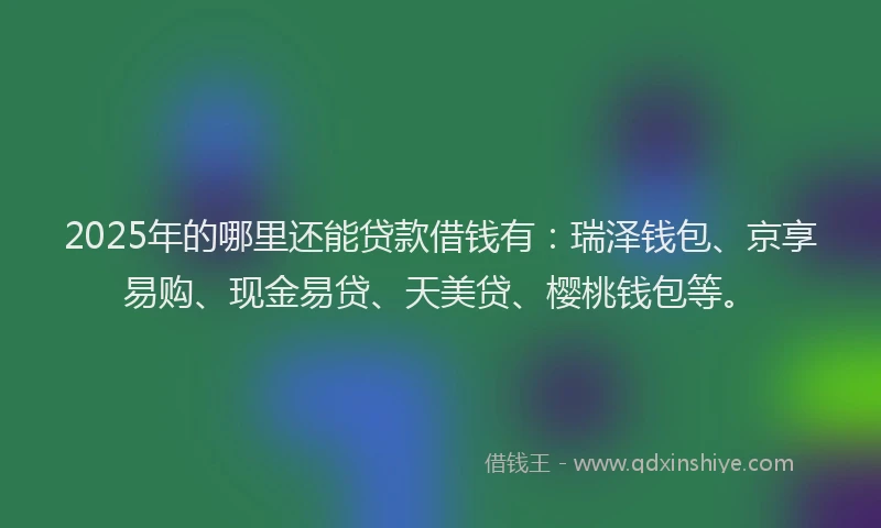 2025年的哪里还能贷款借钱有：瑞泽钱包、京享易购、现金易贷、天美贷、樱桃钱包等。