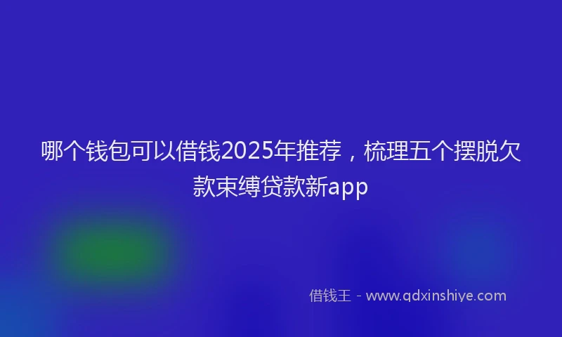 哪个钱包可以借钱2025年推荐，梳理五个摆脱欠款束缚贷款新app