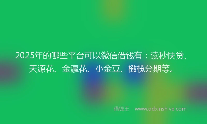 2025年的哪些平台可以微信借钱有：读秒快贷、天源花、金瀛花、小金豆、橄榄分期等。
