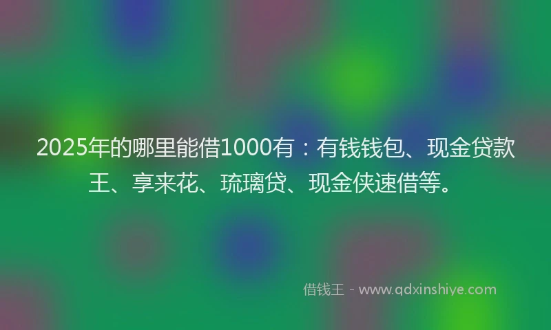 2025年的哪里能借1000有：有钱钱包、现金贷款王、享来花、琉璃贷、现金侠速借等。