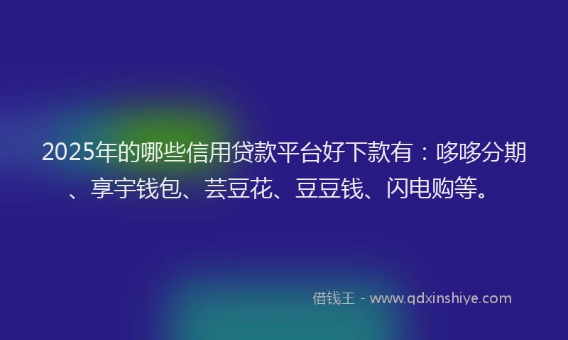 2025年的哪些信用贷款平台好下款有：哆哆分期、享宇钱包、芸豆花、豆豆钱、闪电购等。