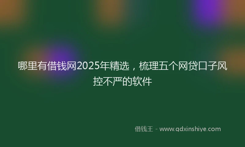 哪里有借钱网2025年精选，梳理五个网贷口子风控不严的软件