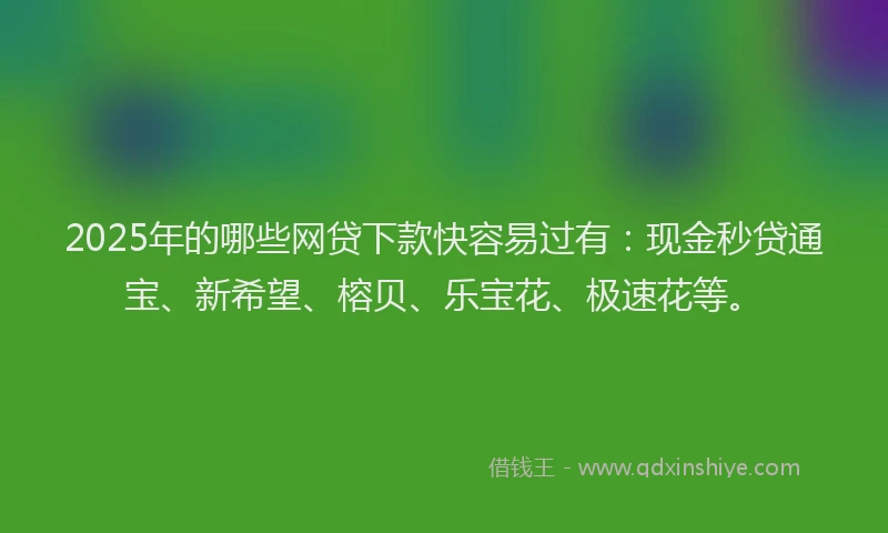 2025年的哪些网贷下款快容易过有：现金秒贷通宝、新希望、榕贝、乐宝花、极速花等。