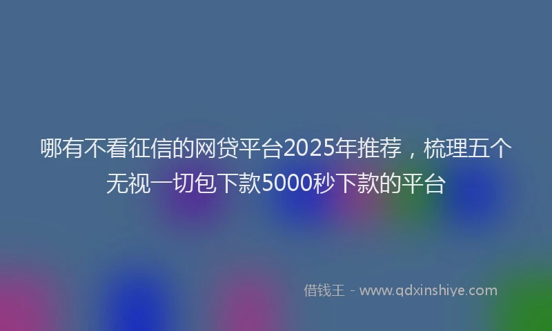 哪有不看征信的网贷平台2025年推荐，梳理五个无视一切包下款5000秒下款的平台