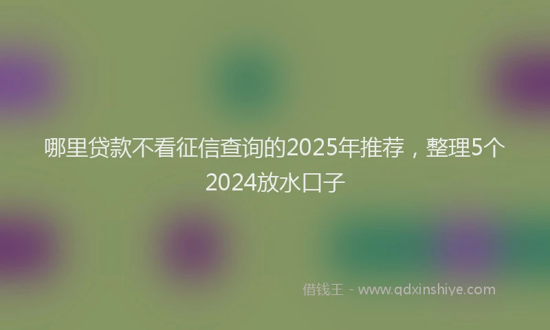 哪里贷款不看征信查询的2025年推荐，整理5个2024放水口子