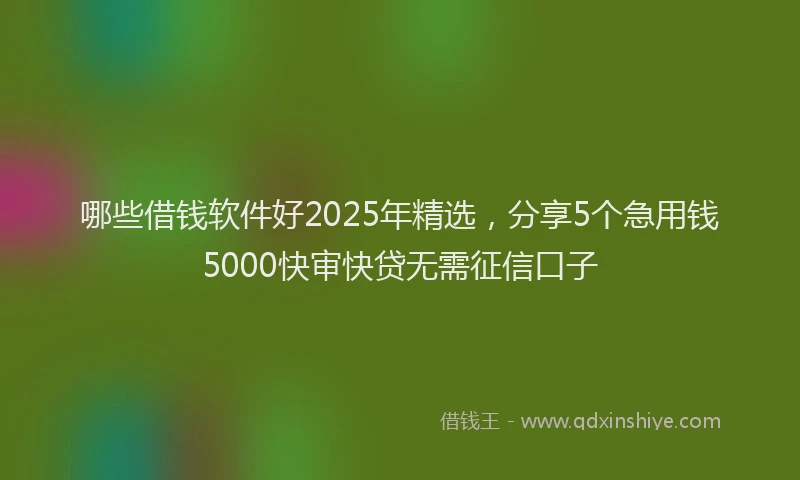 哪些借钱软件好2025年精选，分享5个急用钱5000快审快贷无需征信口子