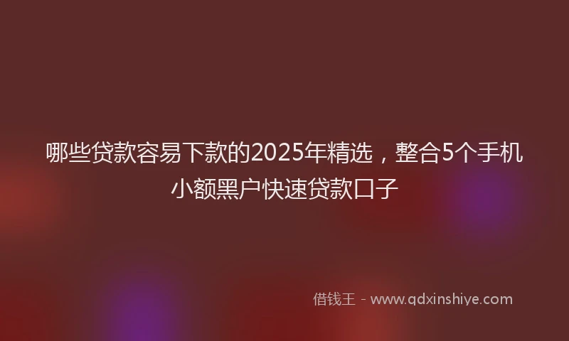 哪些贷款容易下款的2025年精选，整合5个手机小额黑户快速贷款口子