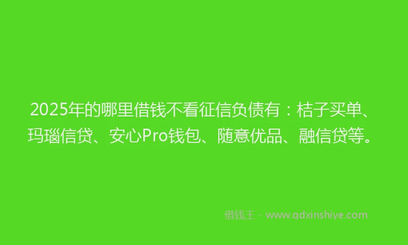 2025年的哪里借钱不看征信负债有：桔子买单、玛瑙信贷、安心Pro钱包、随意优品、融信贷等。