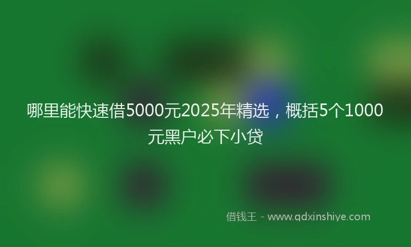 哪里能快速借5000元2025年精选，概括5个1000元黑户必下小贷