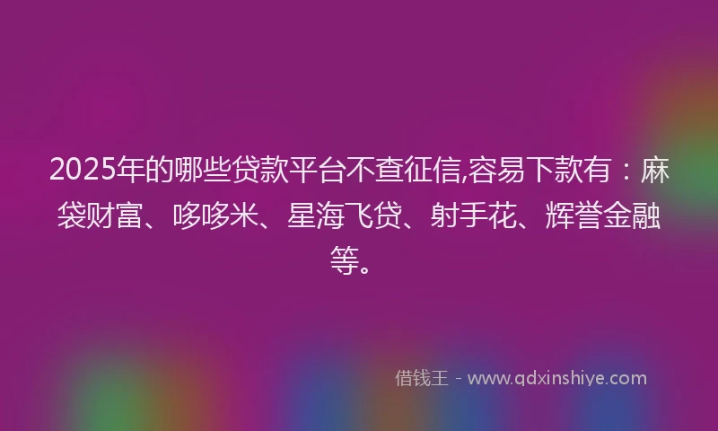 2025年的哪些贷款平台不查征信,容易下款有：麻袋财富、哆哆米、星海飞贷、射手花、辉誉金融等。