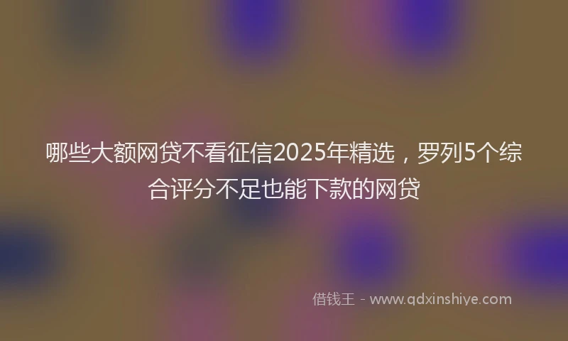 哪些大额网贷不看征信2025年精选，罗列5个综合评分不足也能下款的网贷