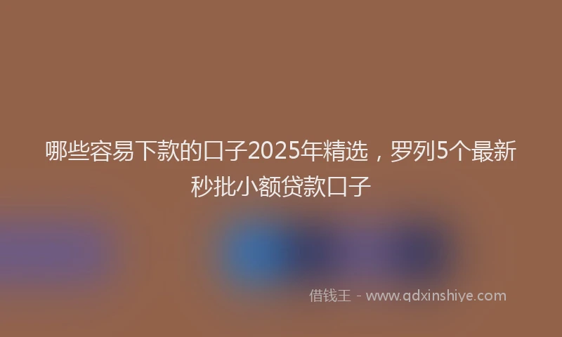 哪些容易下款的口子2025年精选，罗列5个最新秒批小额贷款口子
