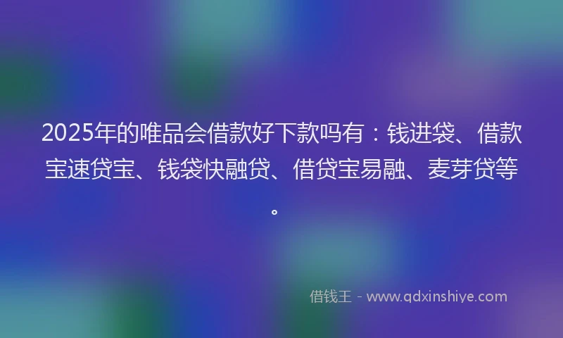 2025年的唯品会借款好下款吗有：钱进袋、借款宝速贷宝、钱袋快融贷、借贷宝易融、麦芽贷等。