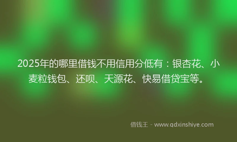 2025年的哪里借钱不用信用分低有：银杏花、小麦粒钱包、还呗、天源花、快易借贷宝等。