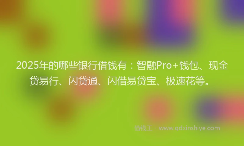 2025年的哪些银行借钱有：智融Pro+钱包、现金贷易行、闪贷通、闪借易贷宝、极速花等。