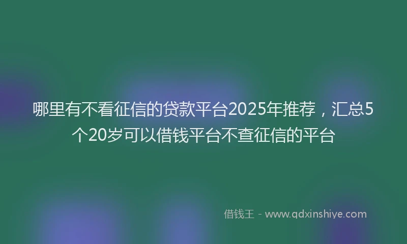 哪里有不看征信的贷款平台2025年推荐，汇总5个20岁可以借钱平台不查征信的平台