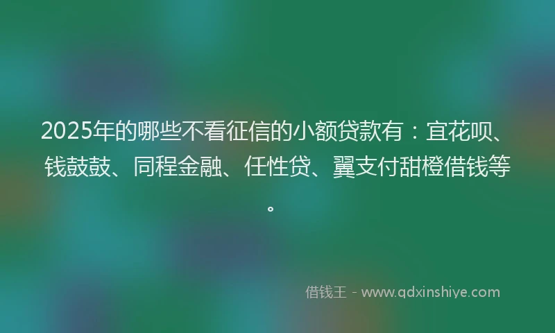 2025年的哪些不看征信的小额贷款有：宜花呗、钱鼓鼓、同程金融、任性贷、翼支付甜橙借钱等。