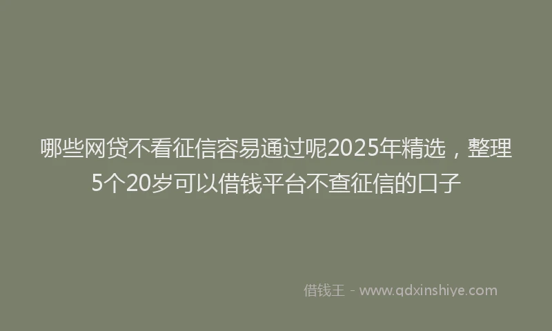 哪些网贷不看征信容易通过呢2025年精选，整理5个20岁可以借钱平台不查征信的口子