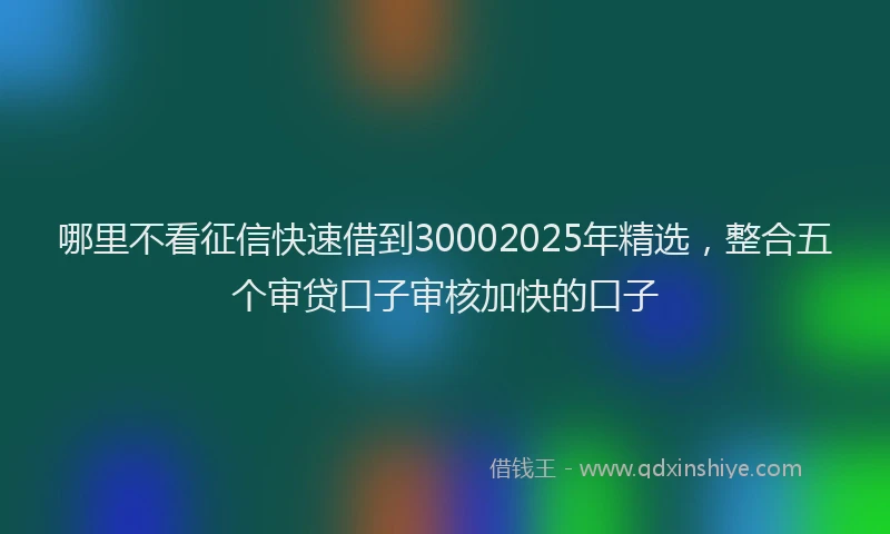哪里不看征信快速借到30002025年精选，整合五个审贷口子审核加快的口子