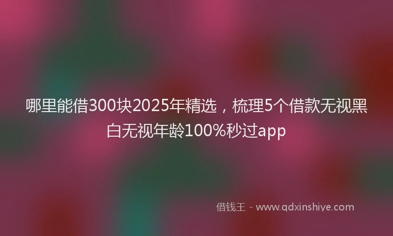 哪里能借300块2025年精选，梳理5个借款无视黑白无视年龄100%秒过app
