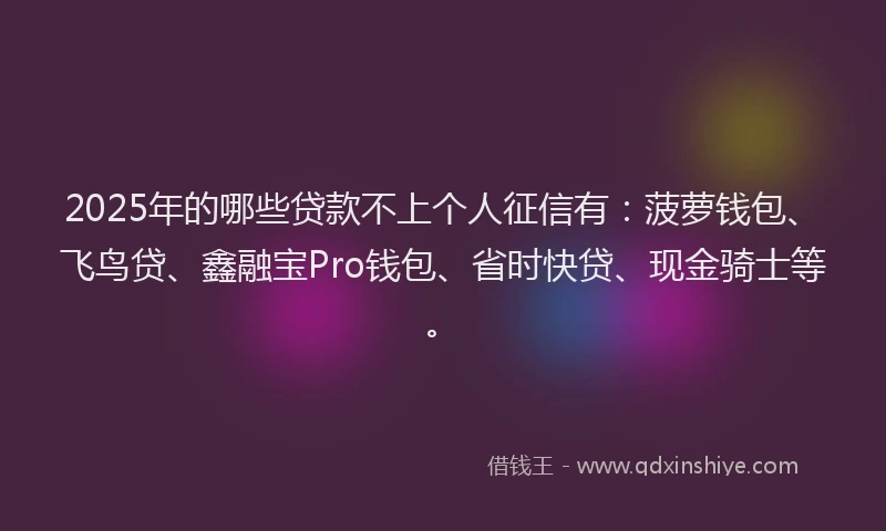 2025年的哪些贷款不上个人征信有：菠萝钱包、飞鸟贷、鑫融宝Pro钱包、省时快贷、现金骑士等。