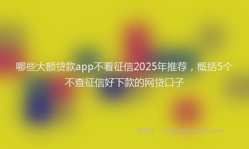 哪些大额贷款app不看征信2025年推荐，概括5个不查征信好下款的网贷口子