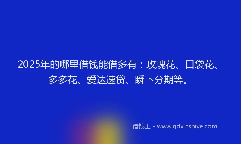 2025年的哪里借钱能借多有：玫瑰花、口袋花、多多花、爱达速贷、瞬下分期等。