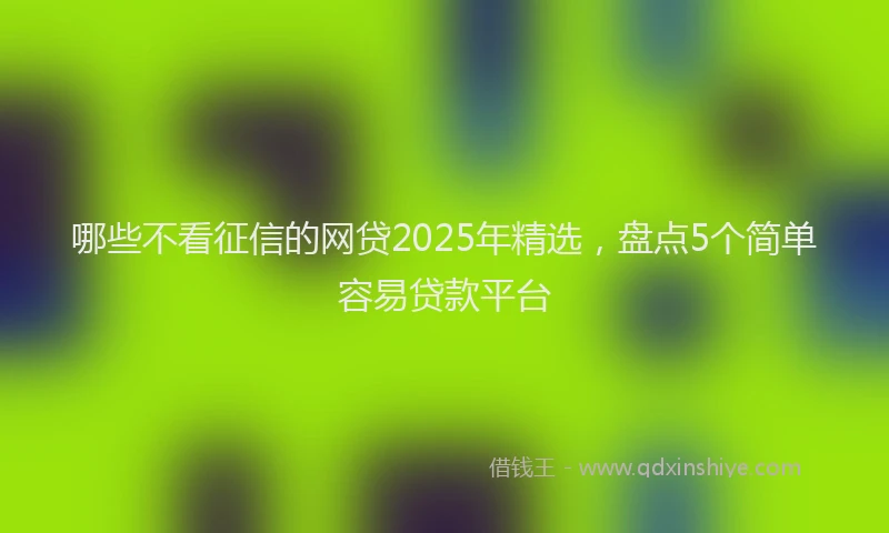 哪些不看征信的网贷2025年精选，盘点5个简单容易贷款平台