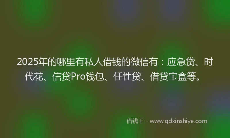 2025年的哪里有私人借钱的微信有：应急贷、时代花、信贷Pro钱包、任性贷、借贷宝盒等。