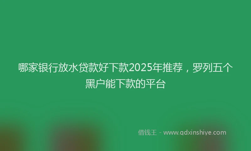 哪家银行放水贷款好下款2025年推荐，罗列五个黑户能下款的平台