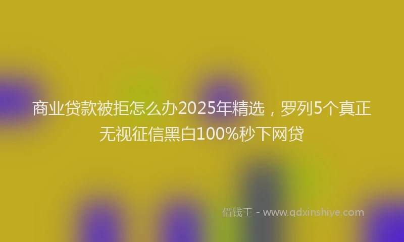 商业贷款被拒怎么办2025年精选，罗列5个真正无视征信黑白100%秒下网贷