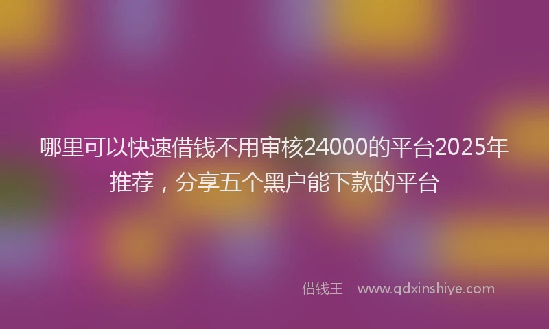 哪里可以快速借钱不用审核24000的平台2025年推荐，分享五个黑户能下款的平台