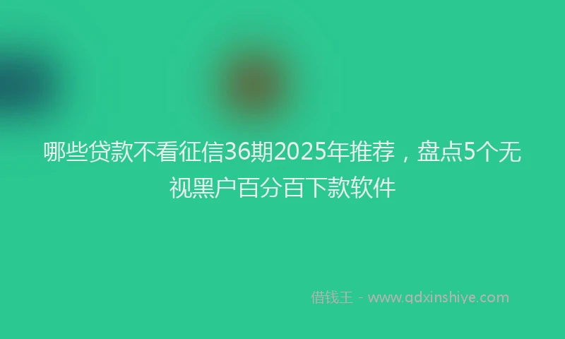 哪些贷款不看征信36期2025年推荐，盘点5个无视黑户百分百下款软件