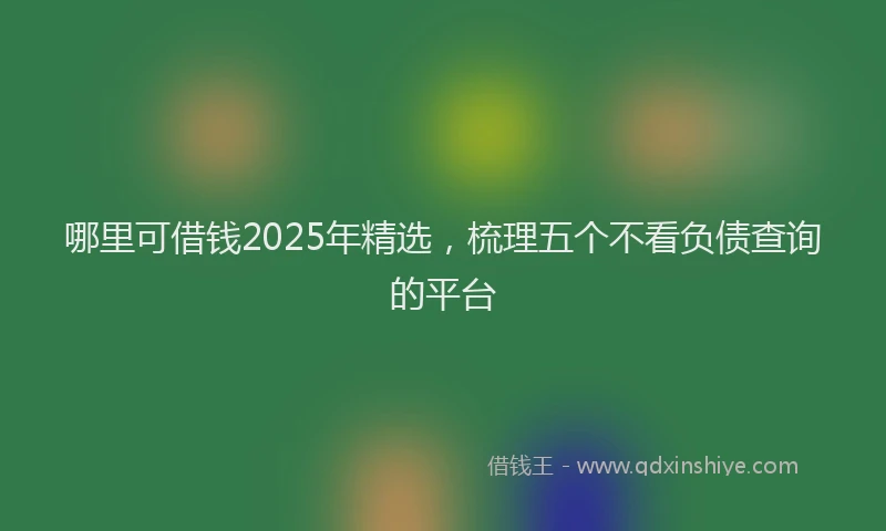 哪里可借钱2025年精选，梳理五个不看负债查询的平台