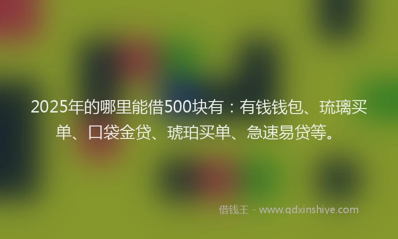 2025年的哪里能借500块有：有钱钱包、琉璃买单、口袋金贷、琥珀买单、急速易贷等。