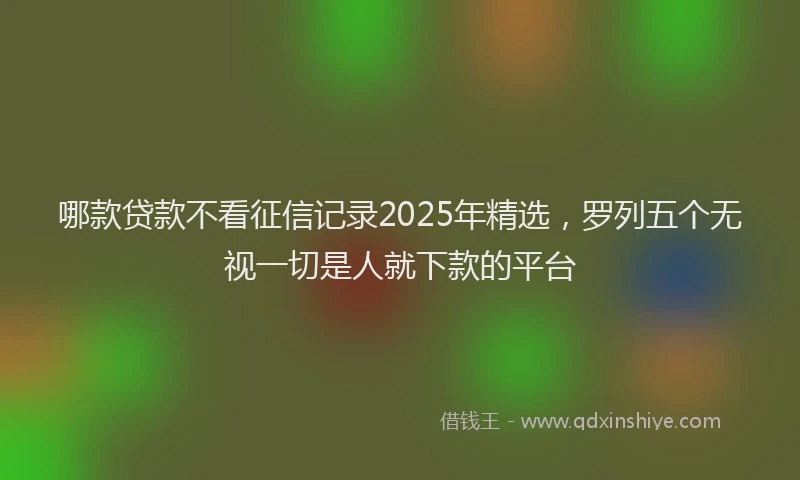 哪款贷款不看征信记录2025年精选，罗列五个无视一切是人就下款的平台