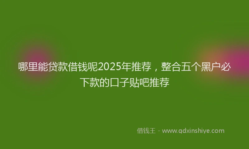 哪里能贷款借钱呢2025年推荐，整合五个黑户必下款的口子贴吧推荐
