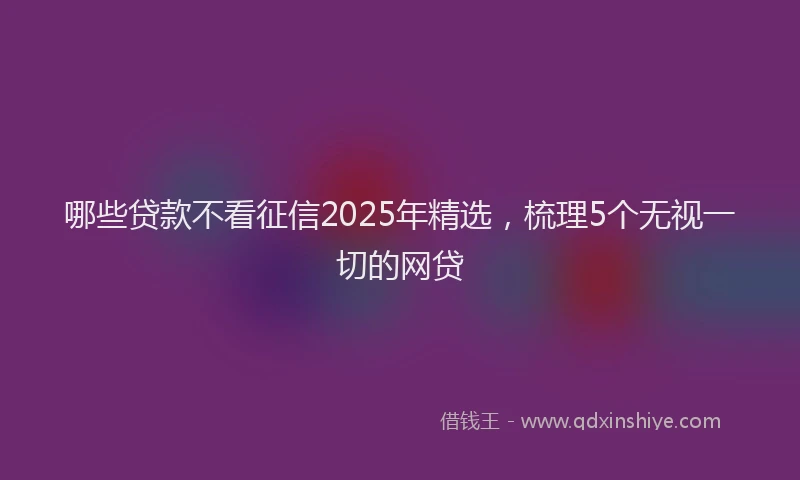 哪些贷款不看征信2025年精选，梳理5个无视一切的网贷