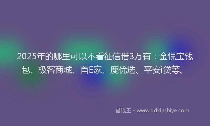 2025年的哪里可以不看征信借3万有：金悦宝钱包、极客商城、首E家、鹿优选、平安i贷等。