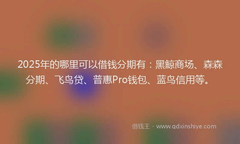 2025年的哪里可以借钱分期有：黑鲸商场、森森分期、飞鸟贷、普惠Pro钱包、蓝鸟信用等。