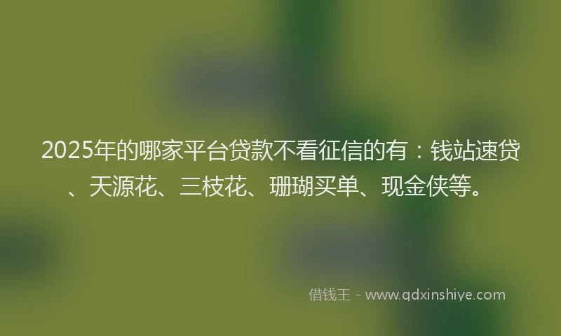 2025年的哪家平台贷款不看征信的有：钱站速贷、天源花、三枝花、珊瑚买单、现金侠等。