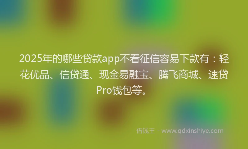 2025年的哪些贷款app不看征信容易下款有：轻花优品、信贷通、现金易融宝、腾飞商城、速贷Pro钱包等。