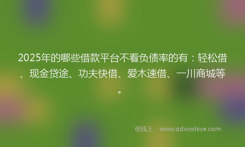 2025年的哪些借款平台不看负债率的有：轻松借、现金贷途、功夫快借、爱木速借、一川商城等。
