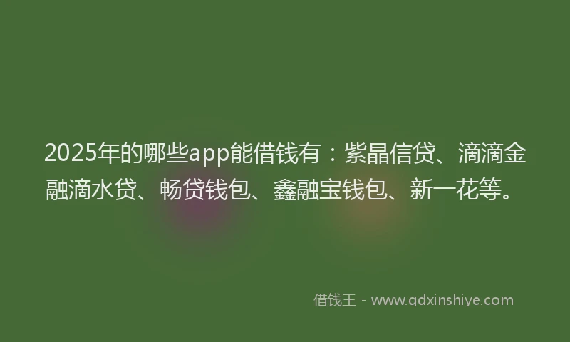 2025年的哪些app能借钱有：紫晶信贷、滴滴金融滴水贷、畅贷钱包、鑫融宝钱包、新一花等。