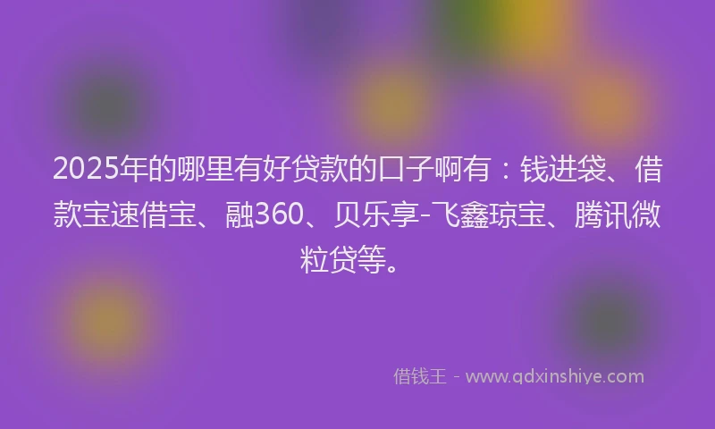 2025年的哪里有好贷款的口子啊有：钱进袋、借款宝速借宝、融360、贝乐享-飞鑫琼宝、腾讯微粒贷等。